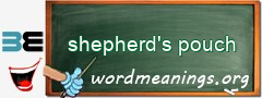WordMeaning blackboard for shepherd's pouch